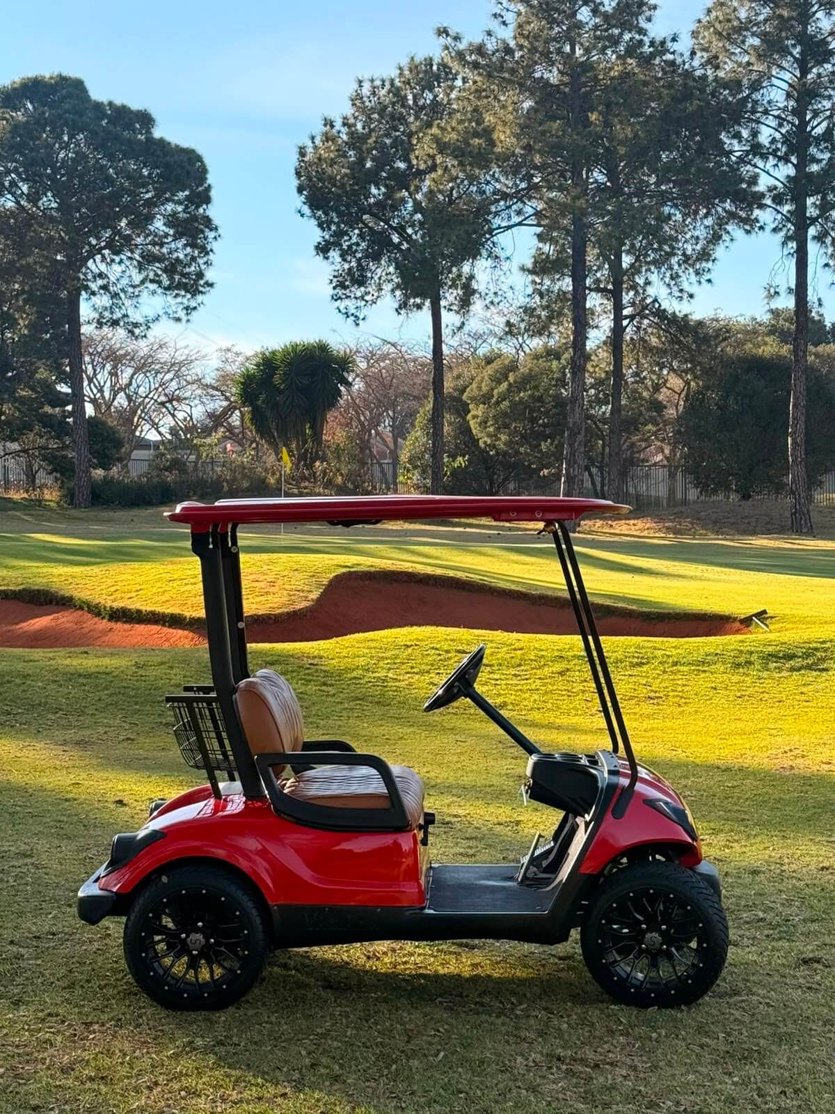 Outlaw Golf Carts 4