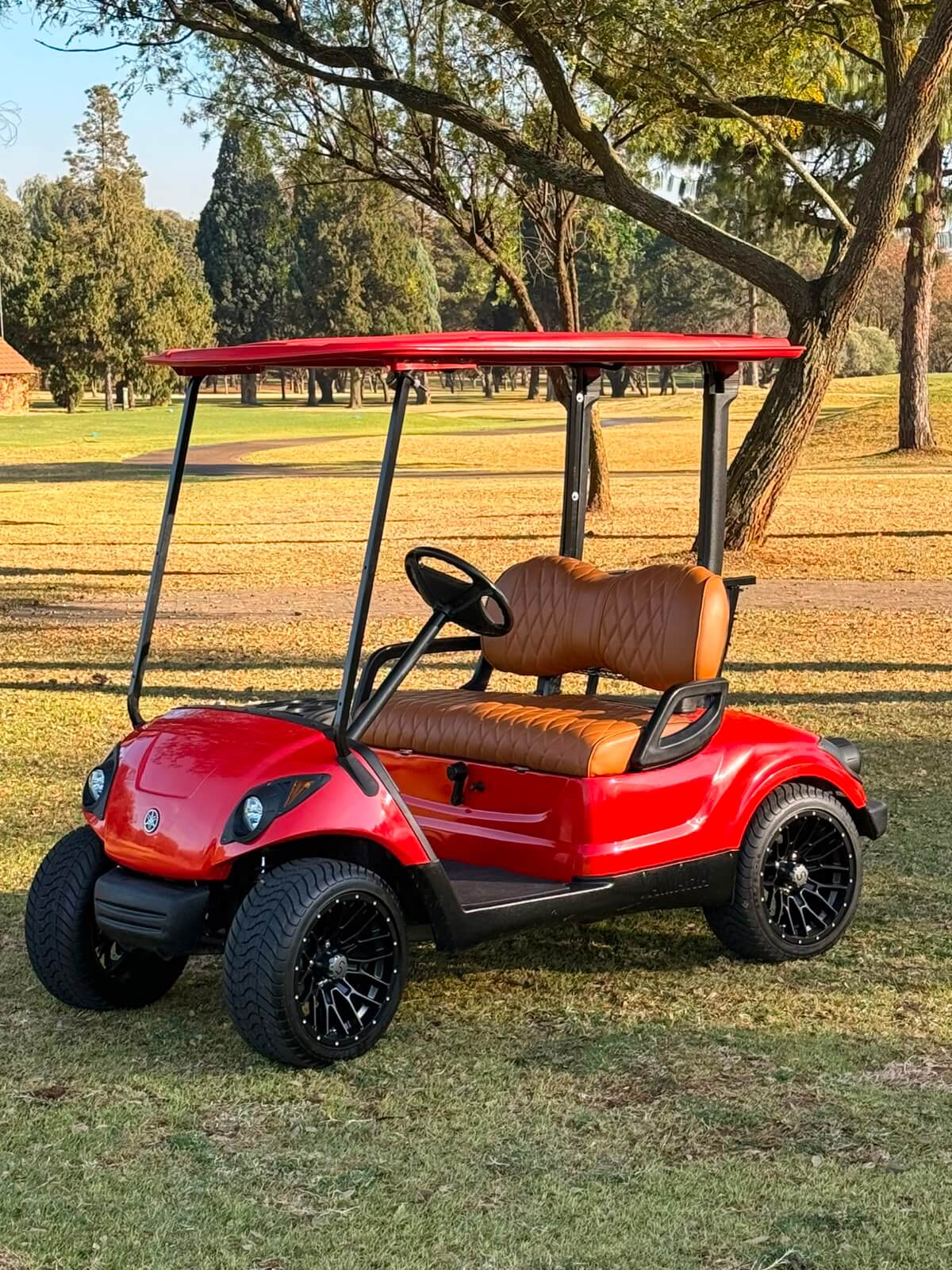 Outlaw Golf Carts 6